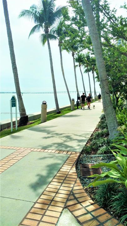 Access to Brickell Key's walking path from the pool area