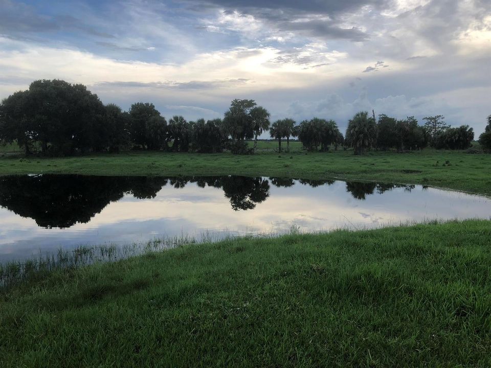 pond in the southeast of property