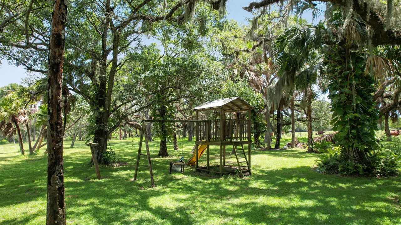 acreage behind main house