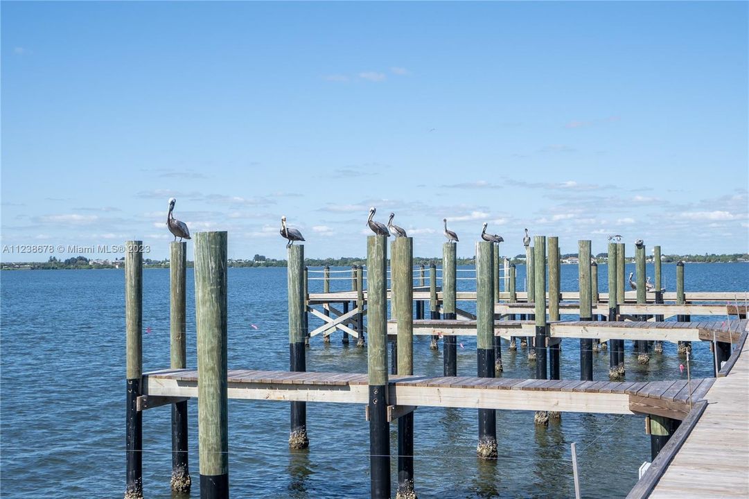 Boat Dock