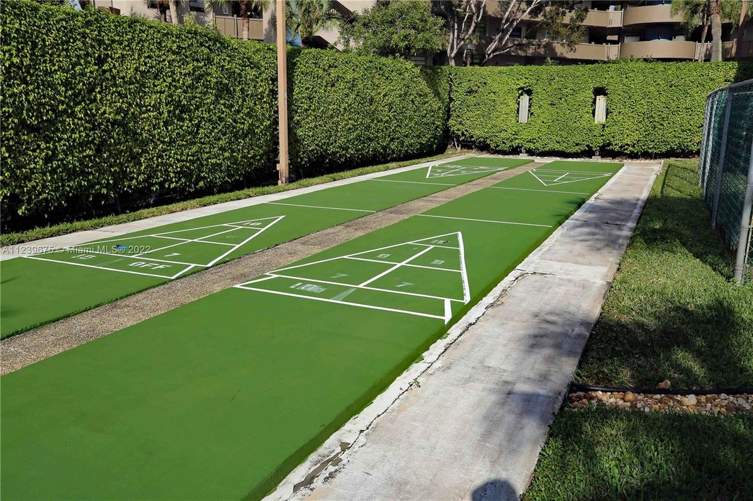 Shuffleboard