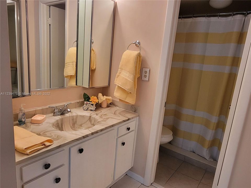 Master bath & dressing area