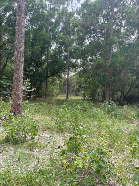 Active With Contract: $1,300,000 (11.34 acres)