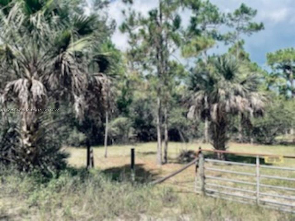 Active With Contract: $1,300,000 (11.34 acres)