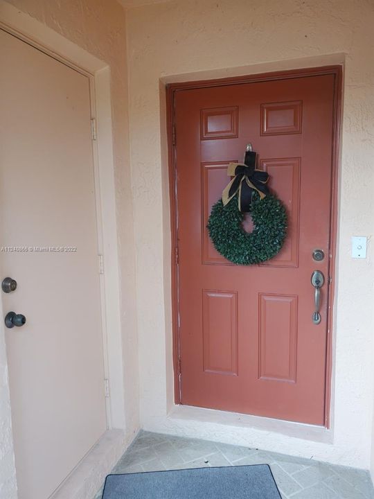 Front door plus storage closet to the left.