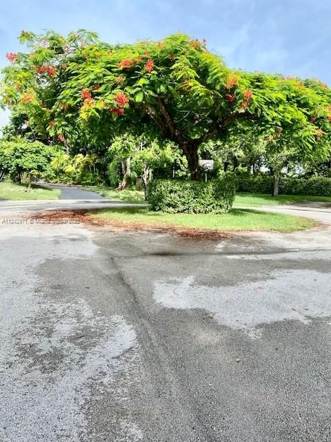 最近租的: $4,500 (3 贝兹, 2 浴室, 2121 平方英尺)