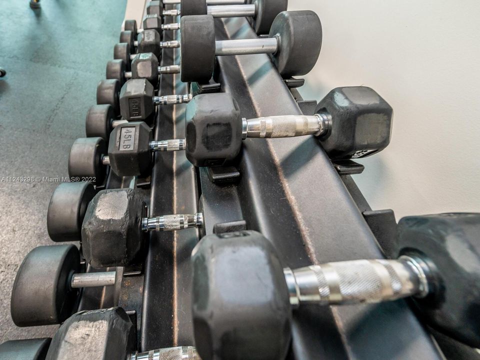 All the dumbbells you will need to be in shape all year round