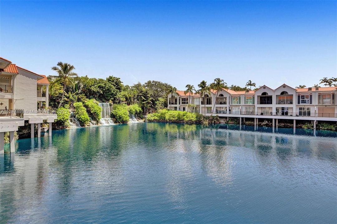 lovely lake with live swans