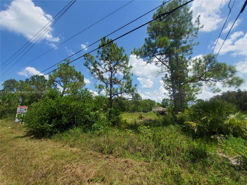 Vendido Recientemente: $189,000 (1.55 acres)