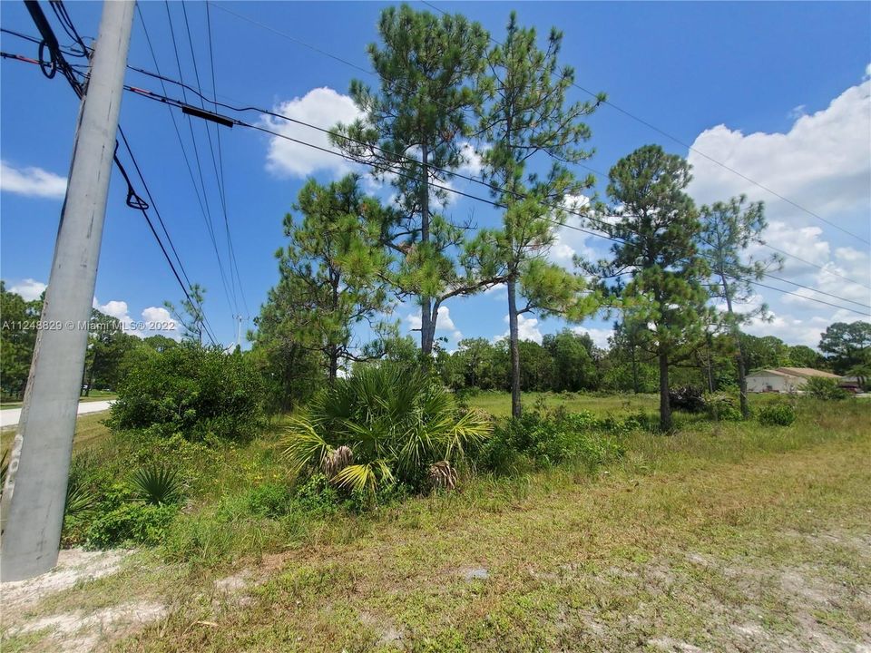 Vendido Recientemente: $189,000 (1.55 acres)