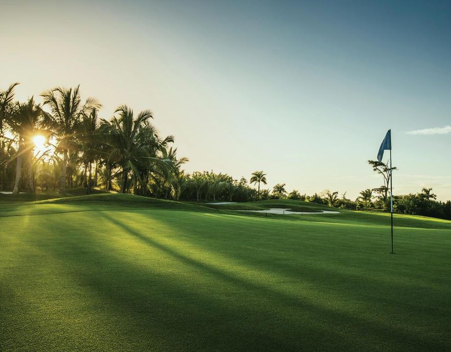 MLS-Golf-Course-Photo-lg