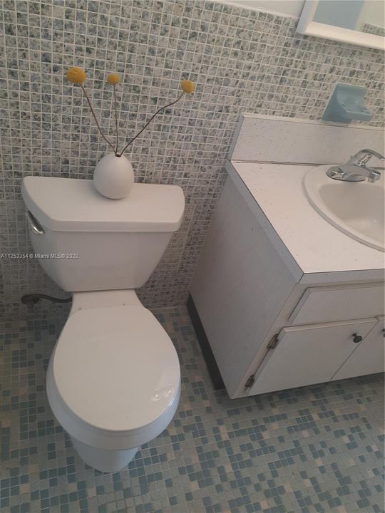 vanity and commode