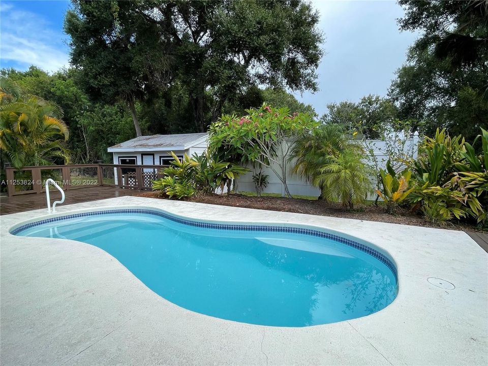 Full view of the pool from the backyard.