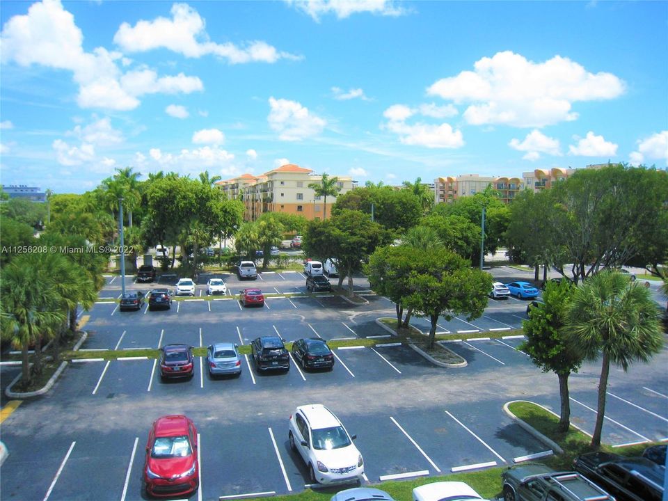 View of the spacious parking area; no assigned parking spaces.  Lots of guest spaces.