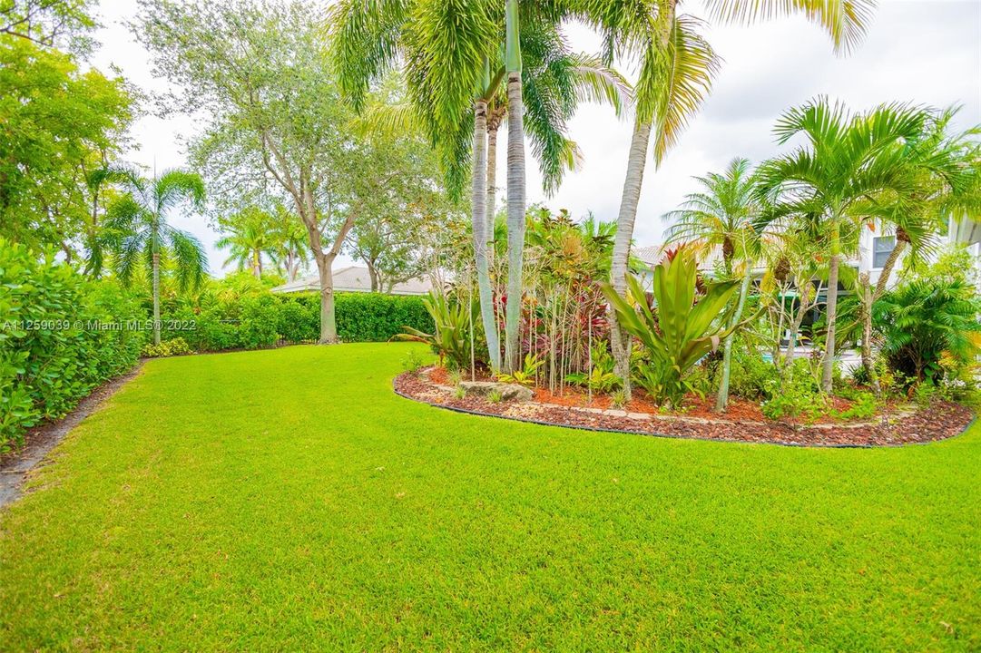 Manicured Back Yard and Gardens