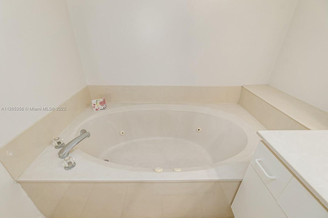Owner's Suite Jacuzzi Tub and Additional Sink