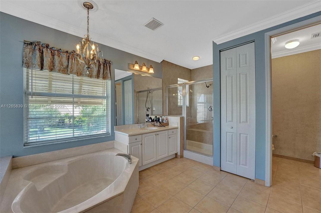 Beautiful Principal Bath, Seperate Tub and Shower