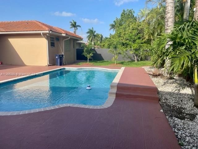 Back yard - Pool