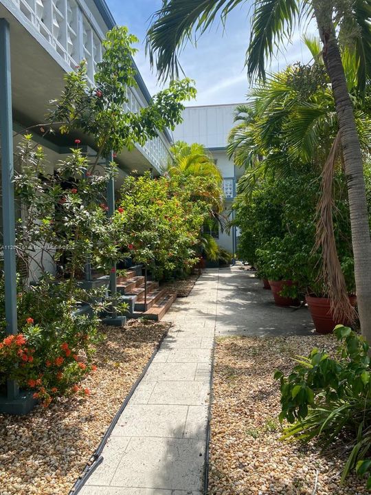 garden and entry