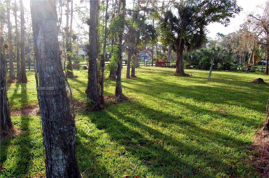 Premium locationn for a Horse Lovers or your Dream Home!