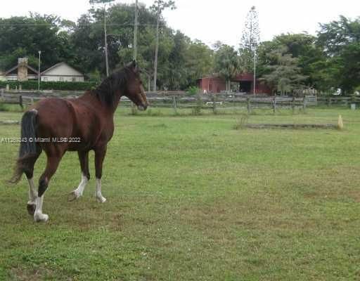 LAND IS IRRIGATED AND FENCED