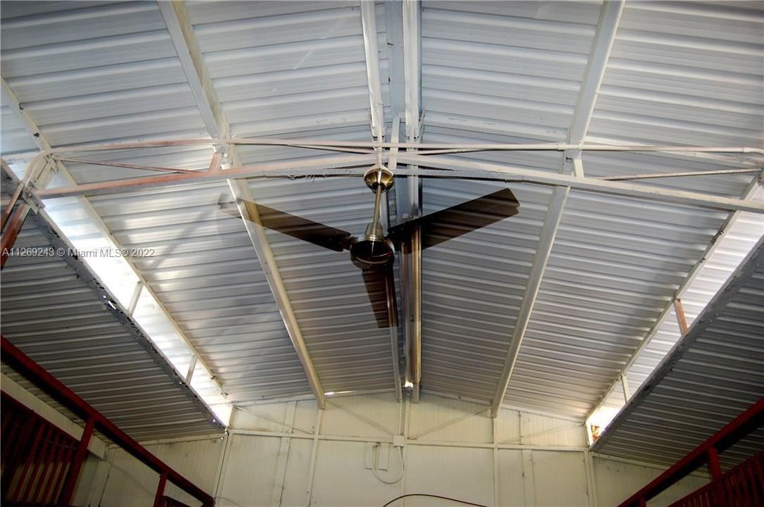 CEILING FAN(S) WITH LIGHTHING