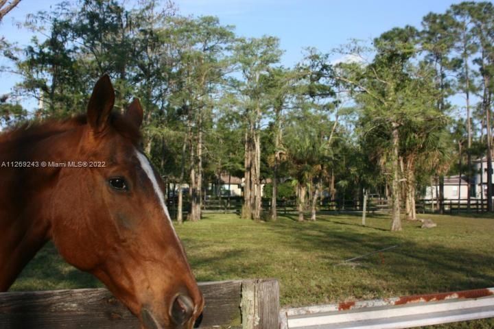 LOCATED ON 1.09 ACRES OF LAND THAT IS IRRIGATED AND FENCED