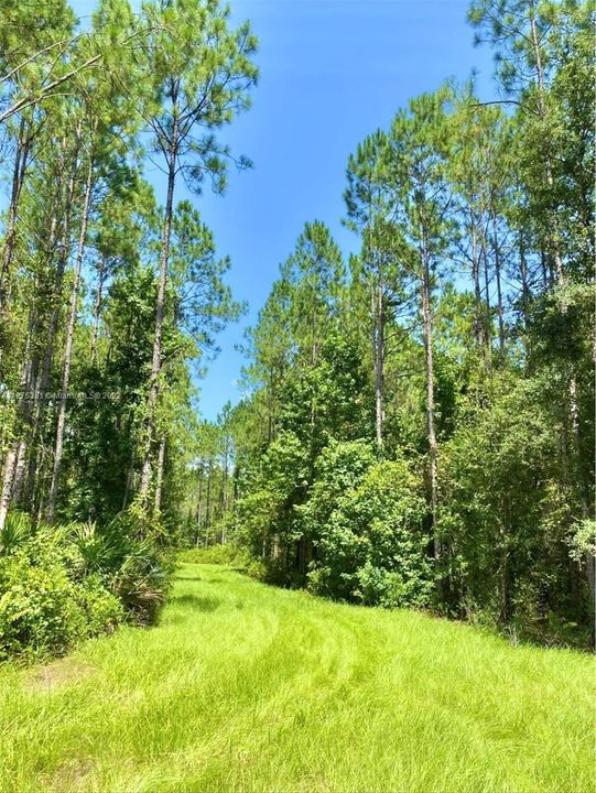 Recently Sold: $137,900 (5.00 acres)