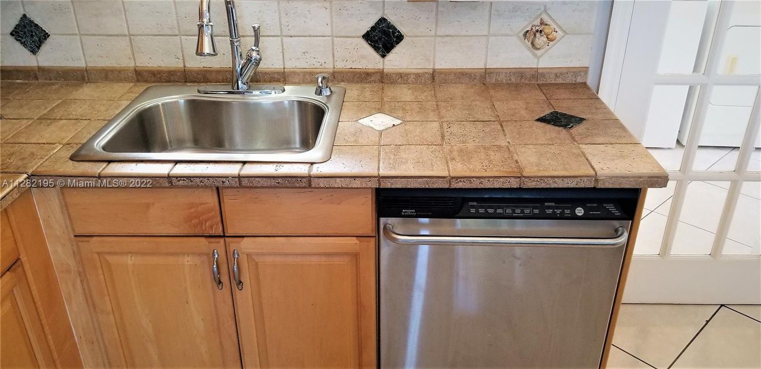 Stainless steel dishwasher and sink