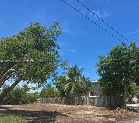 View from the street of the cleared vacant lot.