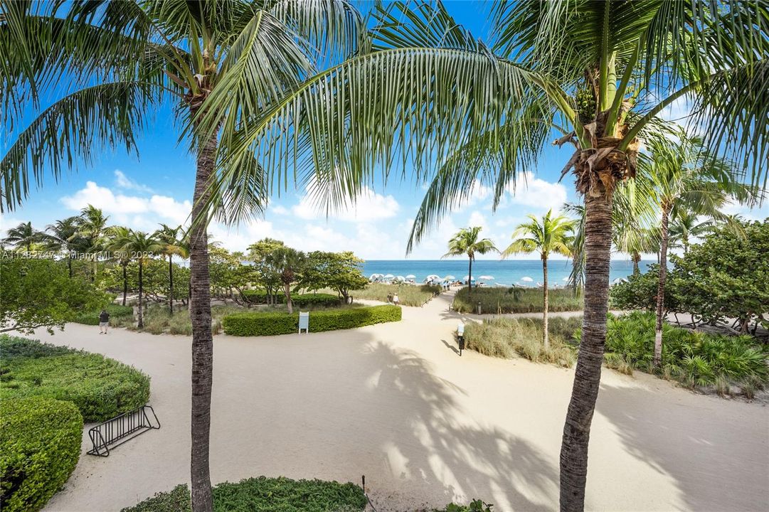 Balmoral Beach at Bal Harbour Florida has palms and green for walk in the shade.