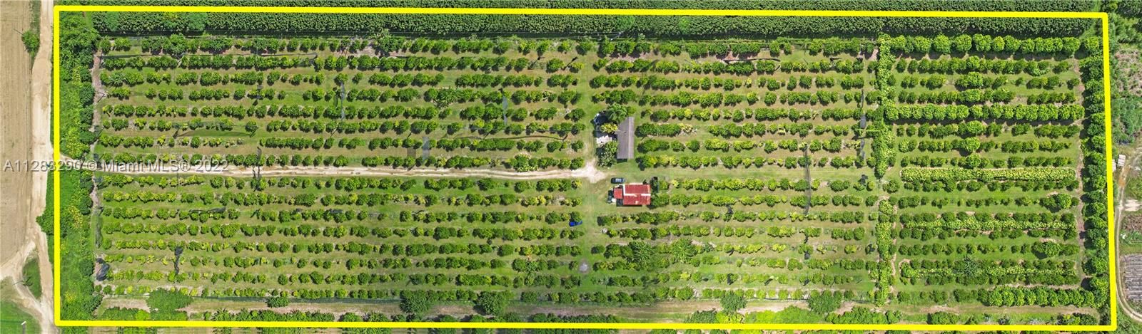 10 ACRE CARAMBOLA GROVE W/ 2/2 FARMHOUSE & PACKING HOUSE, FULLY FENCED AND IRRIGATED