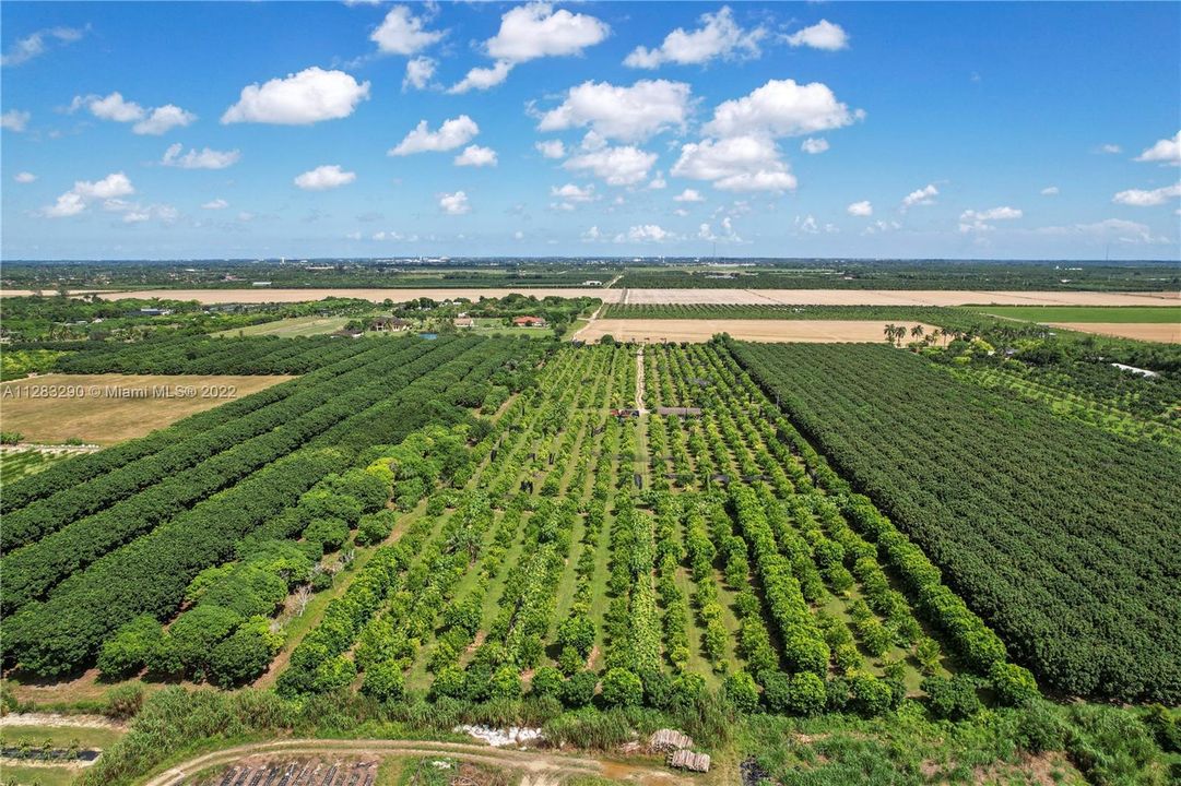 AERIAL VIEW 10 ACRE FULLY FENCED & IRRIGATED