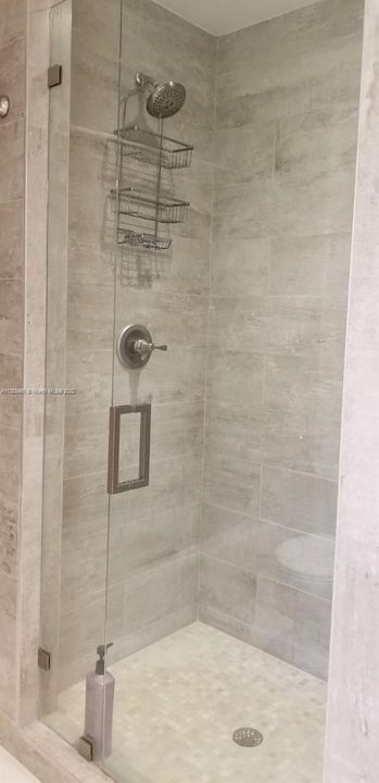 Master Bath shower