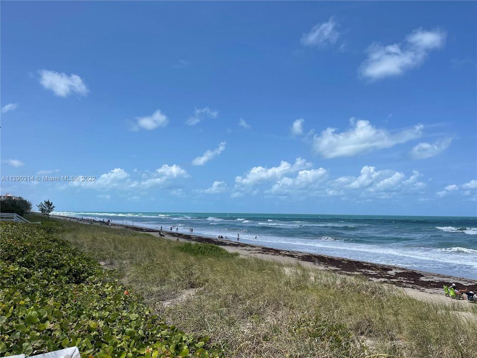 最近租的: $4,500 (2 贝兹, 2 浴室, 1394 平方英尺)