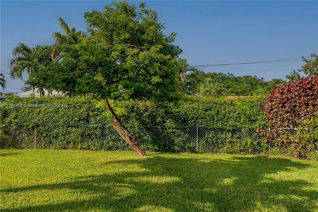 最近租的: $4,300 (3 贝兹, 3 浴室, 1474 平方英尺)