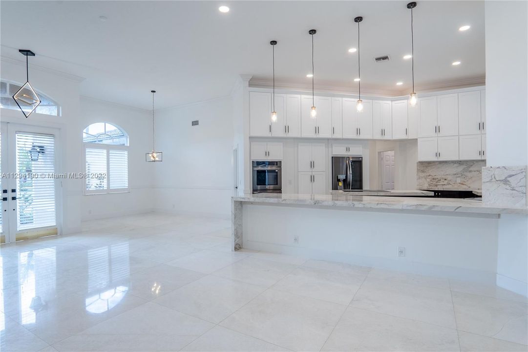 Entry/ Dining room/Living/Kitchen view