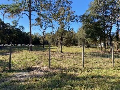 For Sale: $69,900 (1.03 acres)