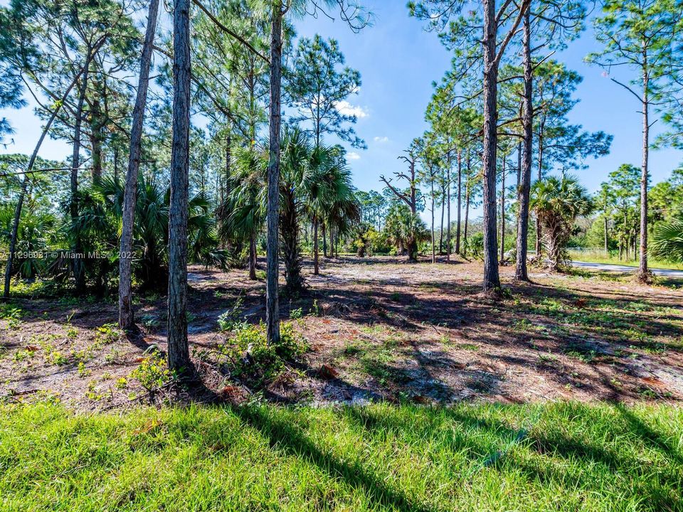 Recently Sold: $1,190,000 (4 beds, 4 baths, 2644 Square Feet)