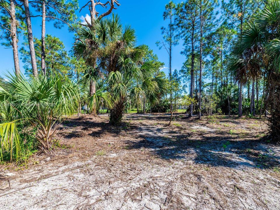 Recently Sold: $1,190,000 (4 beds, 4 baths, 2644 Square Feet)