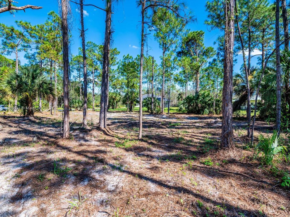 Recently Sold: $1,190,000 (4 beds, 4 baths, 2644 Square Feet)