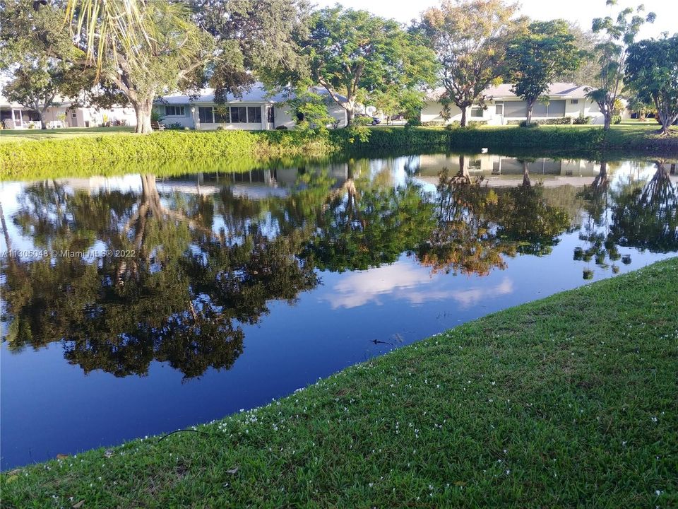 Lake Views form the home