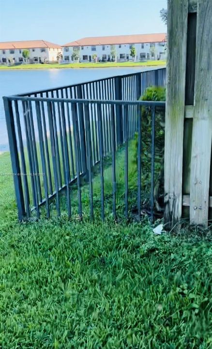 Fenced Patio