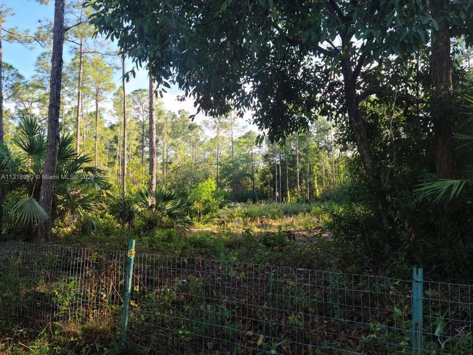 Vendido Recientemente: $300,000 (1.15 acres)