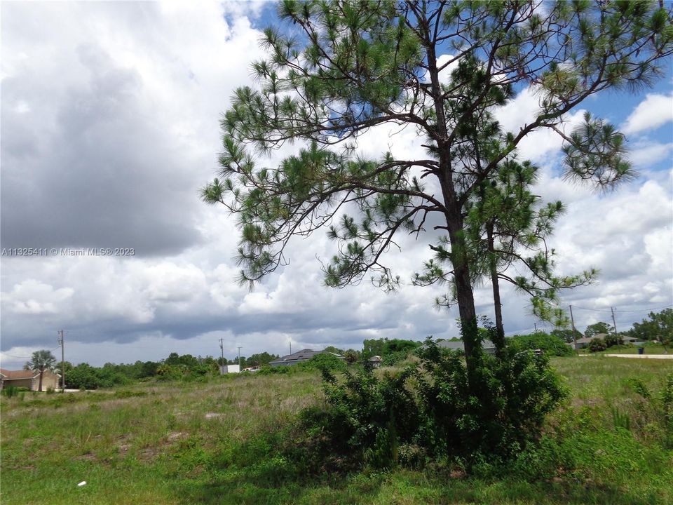Recently Sold: $75,000 (0.71 acres)