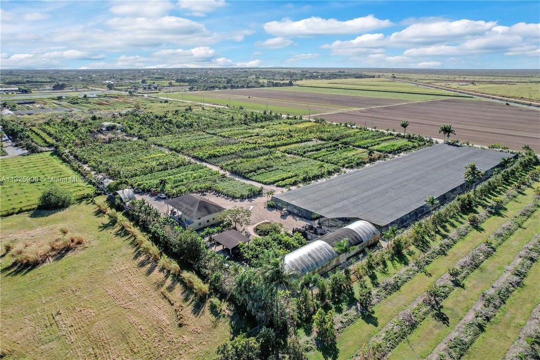 NORTHEASTERN VIEW OF FOLIOS W/ SHADE HOUSES, POLE BARN, OFFICE. THERE ARE MULTIPLE LIVING AREAS.. CLEAN OUTFIT WITH LOADING DOCKS