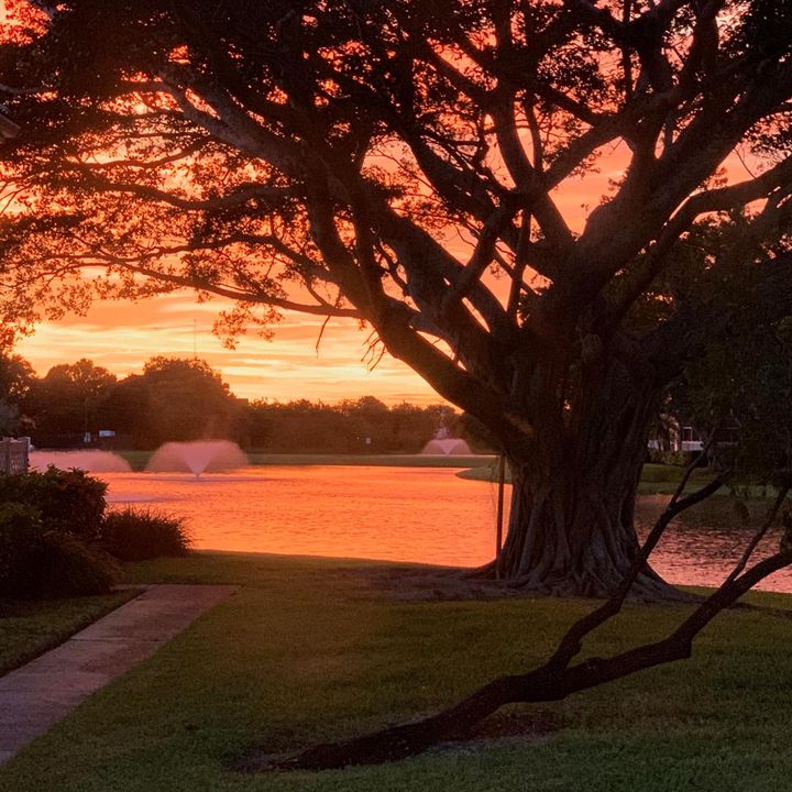 sunset on lake