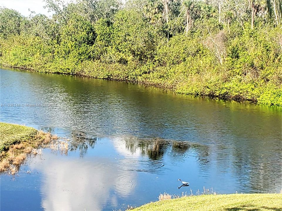 Недавно продано: $285,000 (2 спален, 2 ванн, 1107 Квадратных фут)