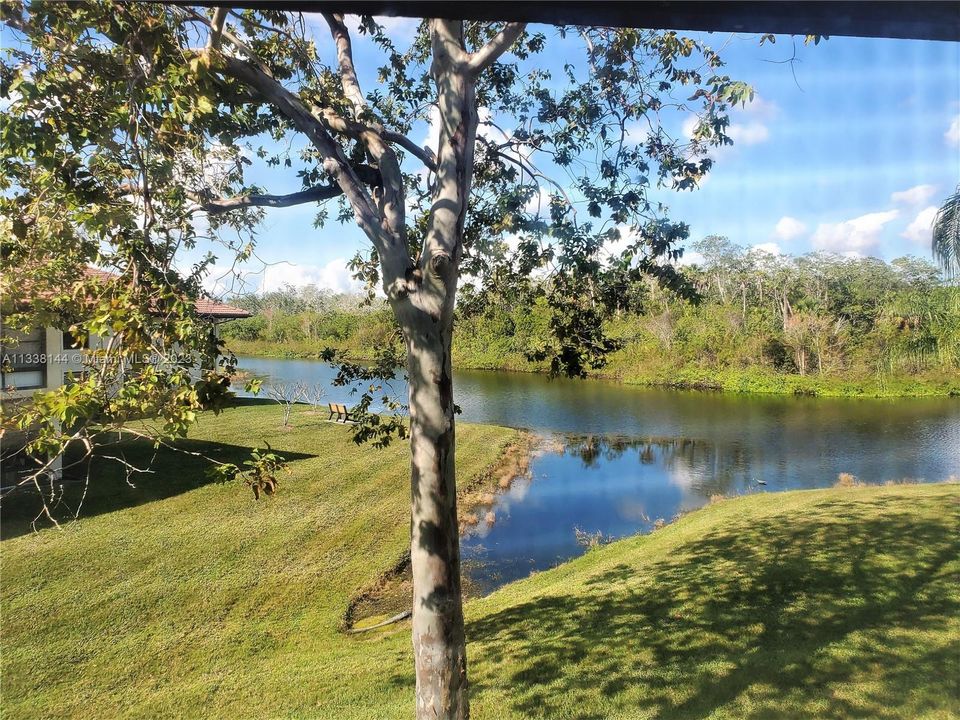 View from Lanai and Living Area Windows