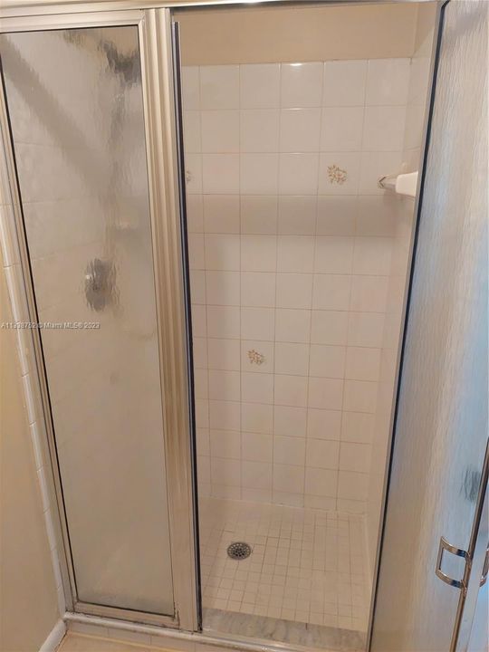 Master bath Shower